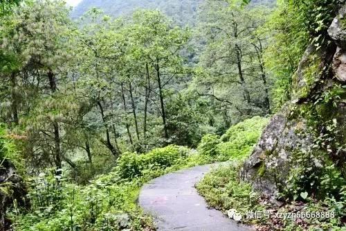 刺客信条起源